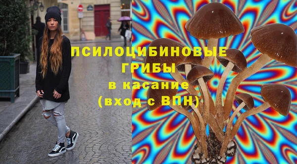 винт Алексин