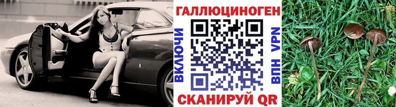 Псилоцибиновые грибы Psilocybine cubensis Афипский